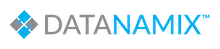Datanamix Logo